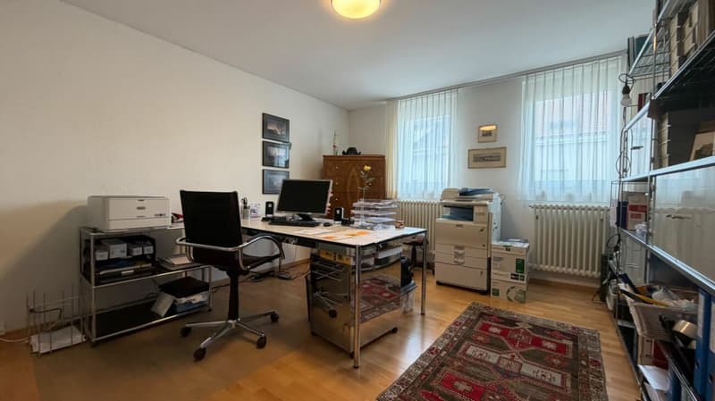 2 WOHNUNGEN + GARTEN + GÄSTEZIMMER + GARAGE/PARKPLÄTZE + MIETEINNAHMEN - SELTENE CHANCE (10)
