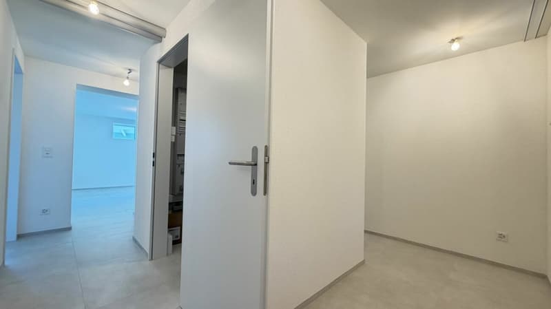 Ihr Gartenglück in Oberwil - mit Wintergarten, Privatgarten und Aussenparkplatz (12)