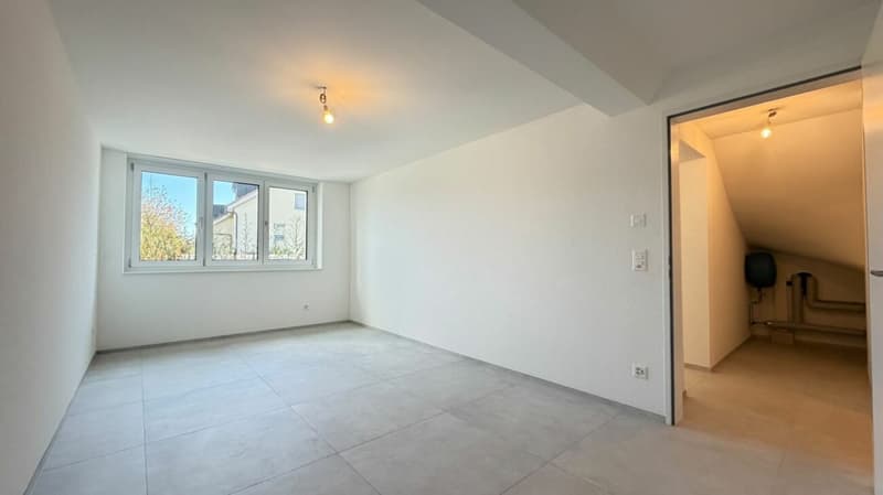 Neu ausgebaute 3.5- und 4.5-Zimmer-Wohnungen - separat oder zusammen kaufbar in Oberwil (14)