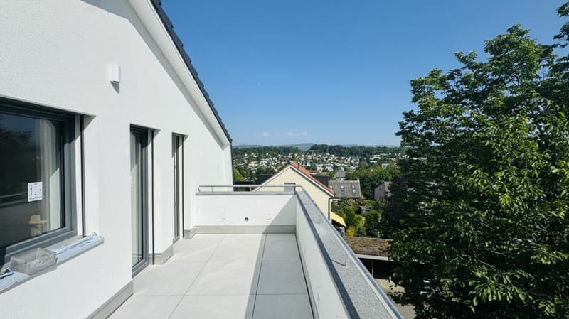 Neu ausgebaute 3.5- und 4.5-Zimmer-Wohnungen - separat oder zusammen kaufbar in Oberwil (3)