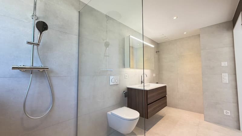 Über den Dächern von Oberwil - Maisonette mit Weitsicht, Eckbalkon und Dachterrasse (8)