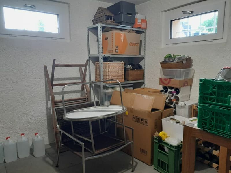 Wohnen mit Weitblick über dem Bodensee, 2 Wohneinheiten, 3 Bädern und Garage (37)
