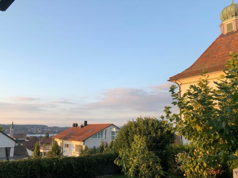 Wohnen mit Weitblick über dem Bodensee, 2 Wohneinheiten, 3 Bädern und Garage (7)