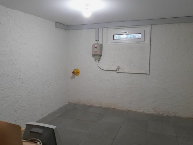Wohnen mit Weitblick über dem Bodensee, 2 Wohneinheiten, 3 Bädern und Garage (36)
