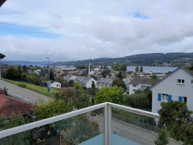 Wohnen mit Weitblick über dem Bodensee, 2 Wohneinheiten, 3 Bädern und Garage (11)