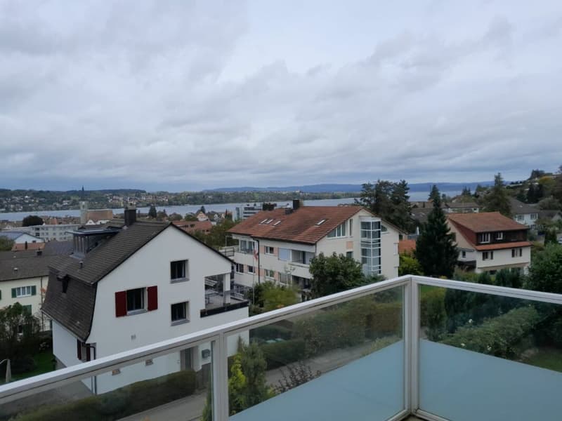 Wohnen mit Weitblick über dem Bodensee, 2 Wohneinheiten, 3 Bädern und Garage (12)