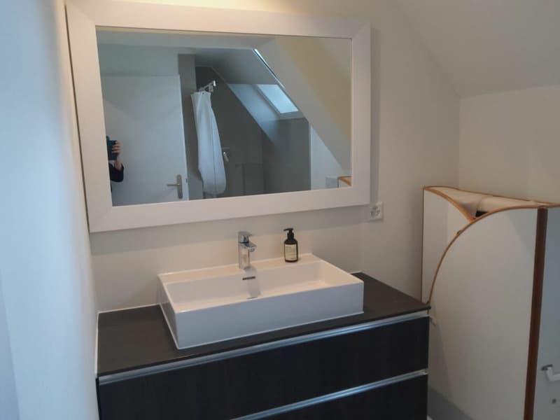 Wohnen mit Weitblick über dem Bodensee, 2 Wohneinheiten, 3 Bädern und Garage (24)