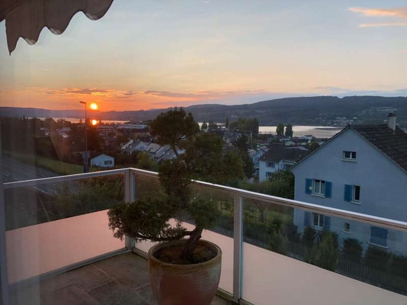 Wohnen mit Weitblick über dem Bodensee, 2 Wohneinheiten, 3 Bädern und Garage (4)