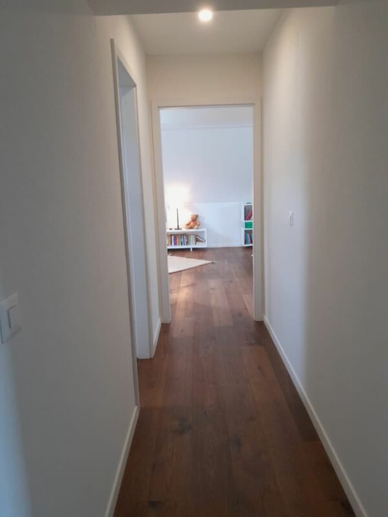 Wohnen mit Weitblick über dem Bodensee, 2 Wohneinheiten, 3 Bädern und Garage (20)