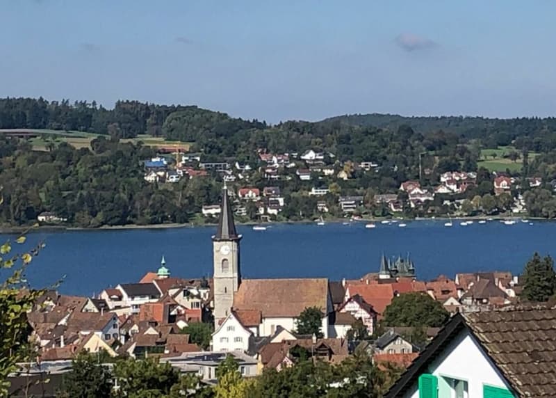 Wohnen mit Weitblick über dem Bodensee, 2 Wohneinheiten, 3 Bädern und Garage (1)