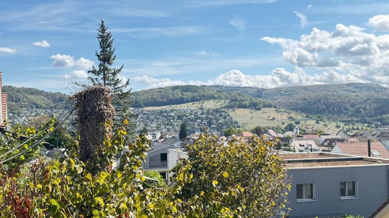 Freiheit mit Weitsicht - Haus mit Aussichtsterrasse (12)