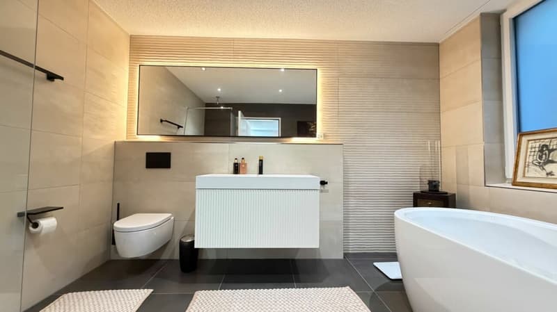 Duplex über Trimbach - Terrassen & Panoramablick (4)