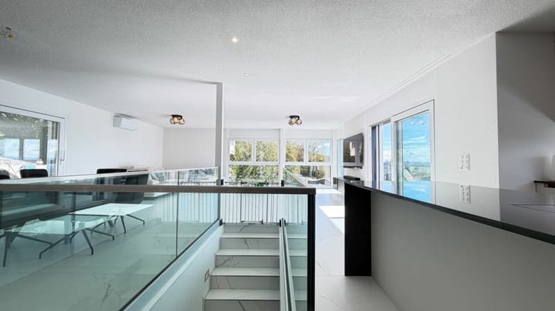 Duplex über Trimbach - Terrassen & Panoramablick (7)