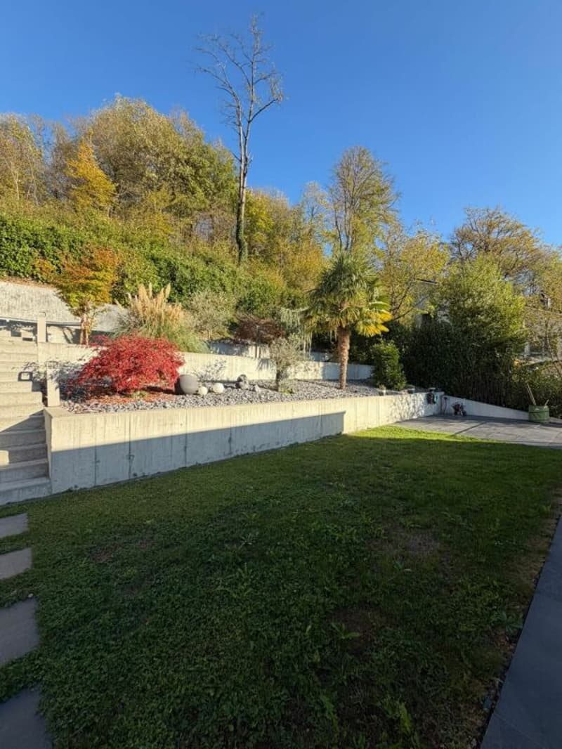 Duplex über Trimbach - Terrassen & Panoramablick (22)