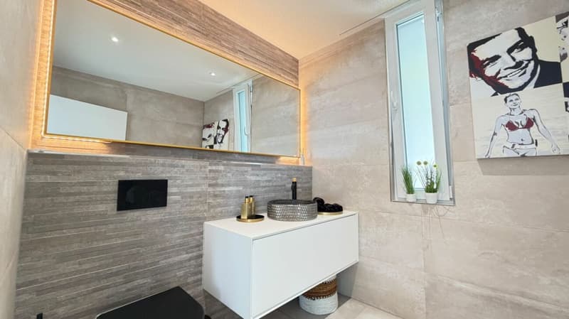 Duplex über Trimbach - Terrassen & Panoramablick (14)