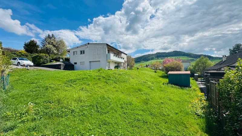 Ihr Paradies in Arisdorf - Haus mit grossem Garten (2)