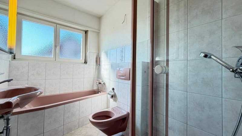Ihr Paradies in Arisdorf - Haus mit grossem Garten (15)