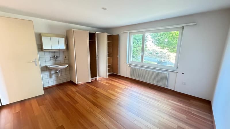 Ihr Paradies in Arisdorf - Haus mit grossem Garten (8)