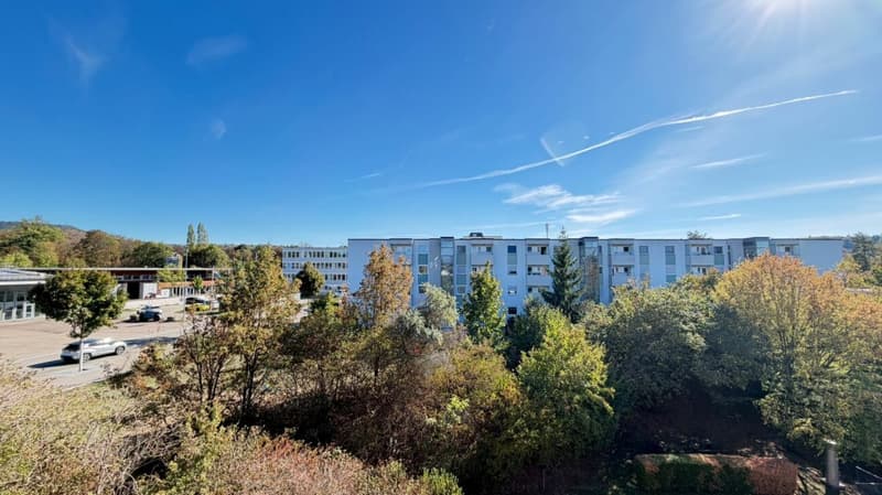 Grosszügige 5.5-Zimmer-Wohnung mit Balkon & Tiefgarage (14)