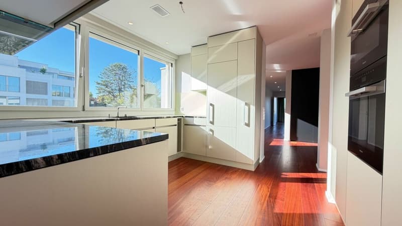 Luxus-Attika mit 187 m² Wohnfläche, 139 m² Terrassen & 2 PP (16)