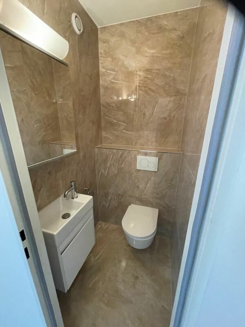 Urbanes Wohnen mit Charme im beliebten Bachlettenquartier (4)