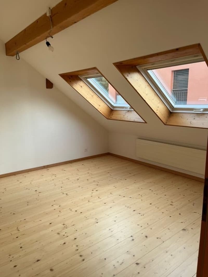 Maisonette-Wohnung in ehemaligem Bauerhaus (11)