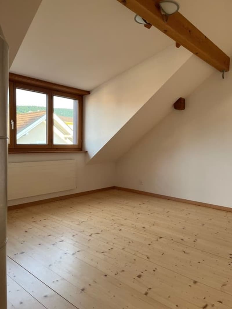 Maisonette-Wohnung in ehemaligem Bauerhaus (10)