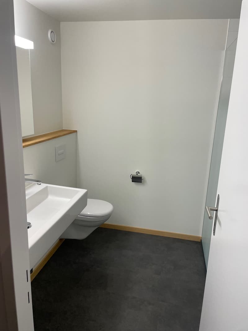Attraktive 4 Zimmerwohnung (9)