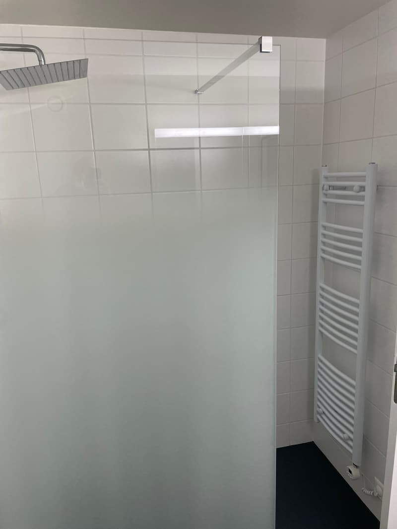 Attraktive 4 Zimmerwohnung (10)