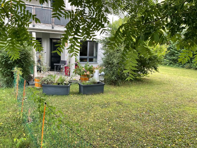 Attraktive 3.5 Zi-Wohnung im Naherholungsgebiet (2)