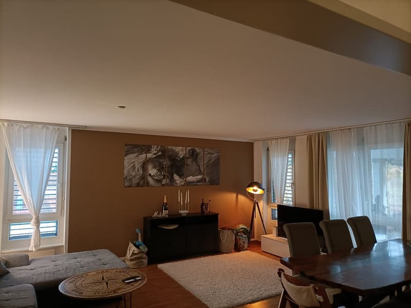 Attraktive 3.5 Zi-Wohnung im Naherholungsgebiet (9)