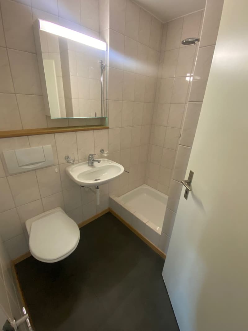 Attraktive 3.5 Zi-Wohnung im Naherholungsgebiet (5)