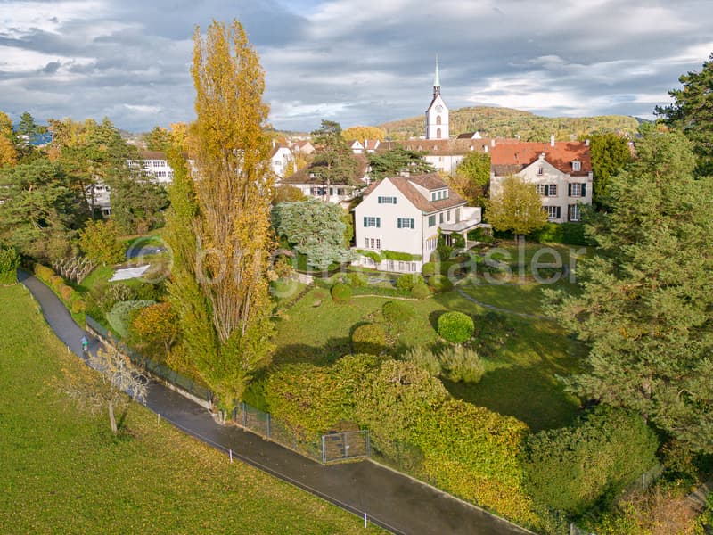 Herrschaftliches Anwesen im historischen Dorfkern von Riehen (1)