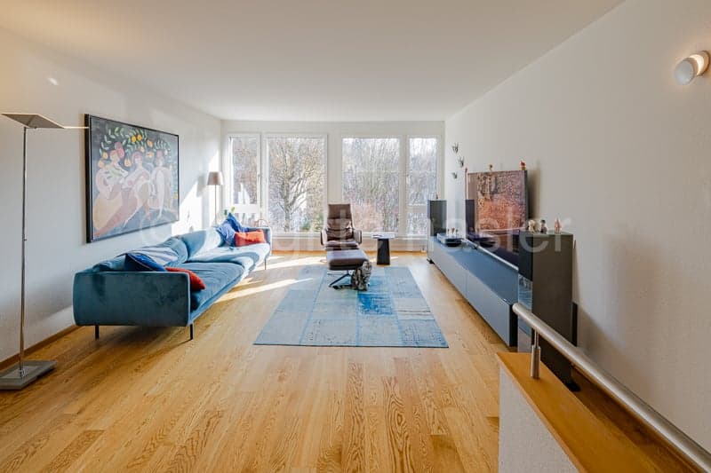 blue couch, blue rug, large windows, TV, floor lamp, painting, armchair, wooden floors