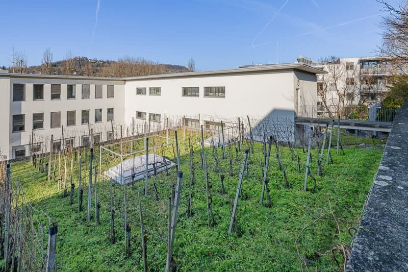 Espaces de bureaux modernes à Riehen - Lörrracherstrasse 50 (2)