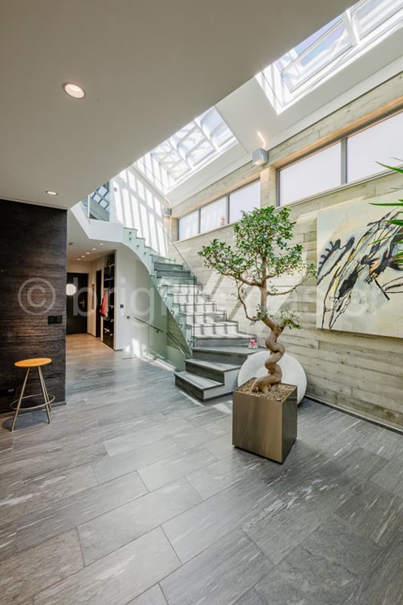 Wooden tile flooring, grey walls, glass staircase, central decorative tree, modern interior design, skylights
