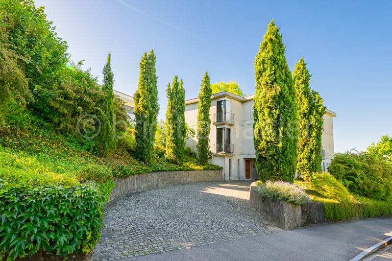 Haus Alder: Repräsentative Liegenschaft an begehrter Wohn- und Aussichtslage (1)