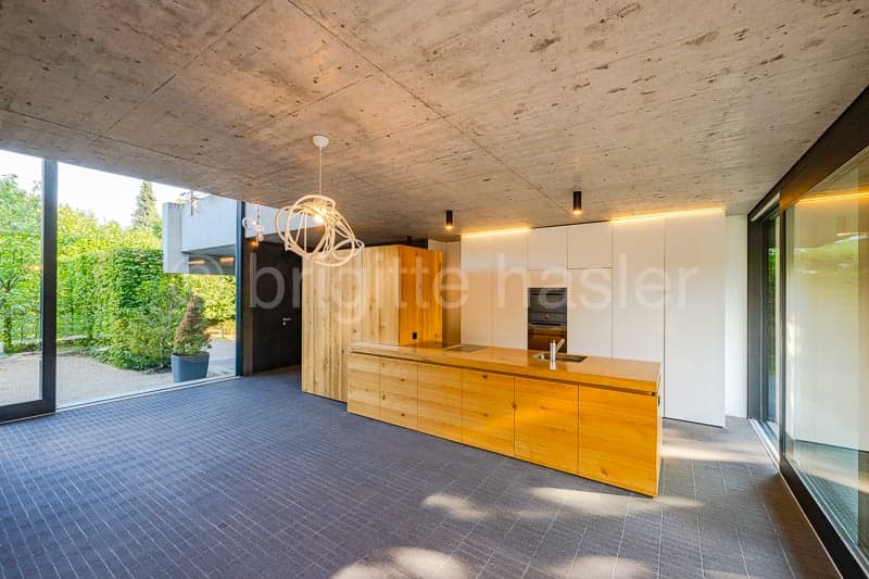 Moderne Designer-Liegenschaft mit Pool  an exklusiver Lage auf der Binninger Höhe (5)