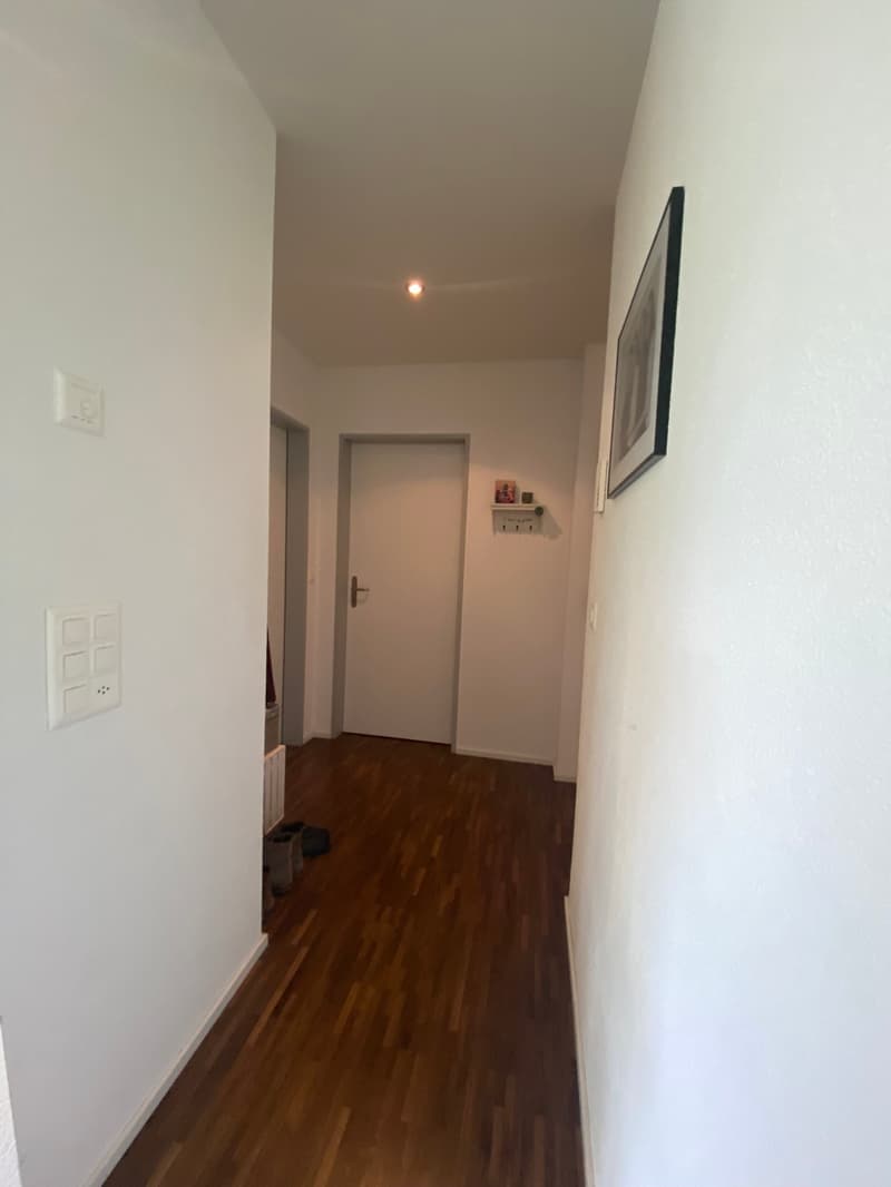 Charmante 2.5-Zimmer-Wohnung mit Balkon in Hägendorf (4)