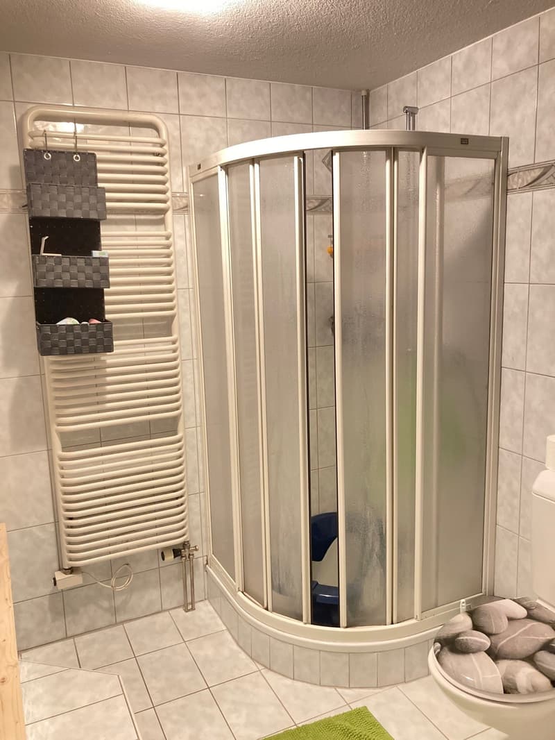 Geräumige 5.5-Zimmer-Wohnung im Herzen von Niederbuchsiten (10)