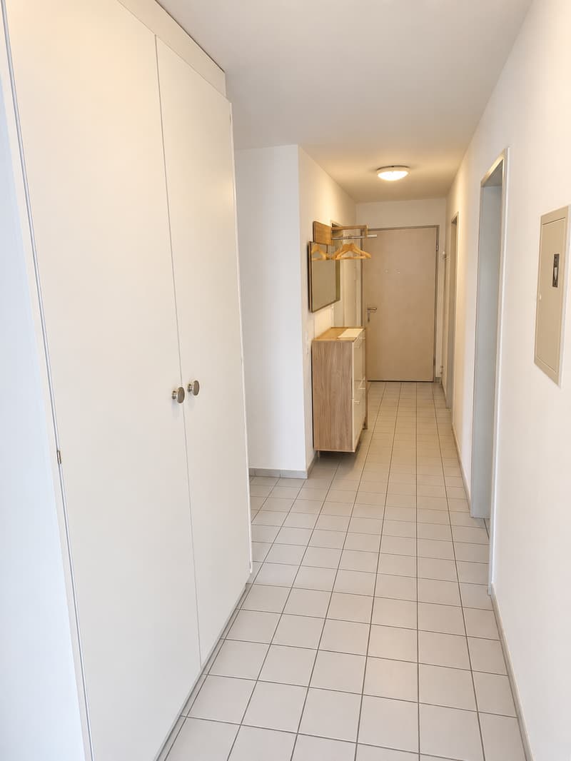 Charmante 3.5-Zimmer-Dachwohnung in Wangen bei Olten (6)