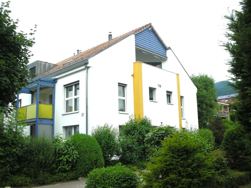 Charmante 2.5-Zimmer-Dachwohnung mit Balkon in Wangen bei Olten (1)