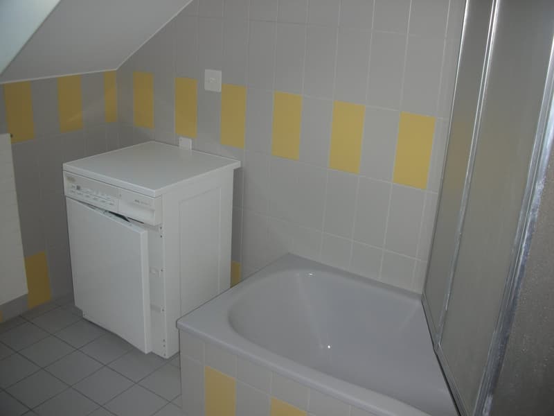 Charmante 2.5-Zimmer-Dachwohnung mit Balkon in Wangen bei Olten (8)