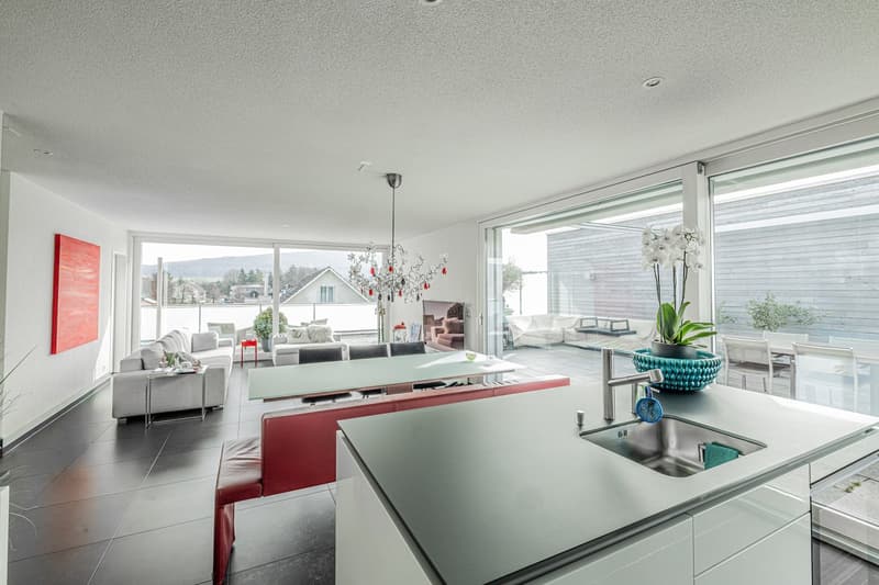 modern open plan living room and kitchen, large windows, modern furniture, chandelier, plants, modern kitchen with sink and faucet