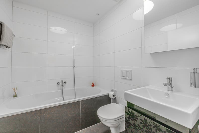 Schönste Penthouse Attikawohnung in Möhlin mit viel Aussicht (reserviert) (13)