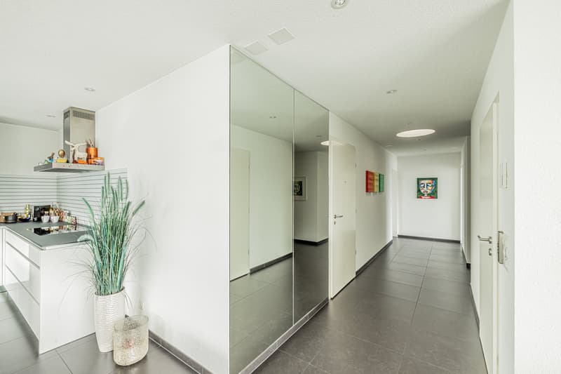 Schönste Penthouse Attikawohnung in Möhlin mit viel Aussicht (verkauft) (11)