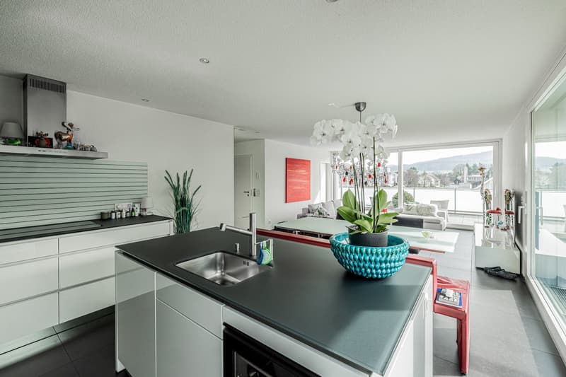 Schönste Penthouse Attikawohnung in Möhlin mit viel Aussicht (verkauft) (8)