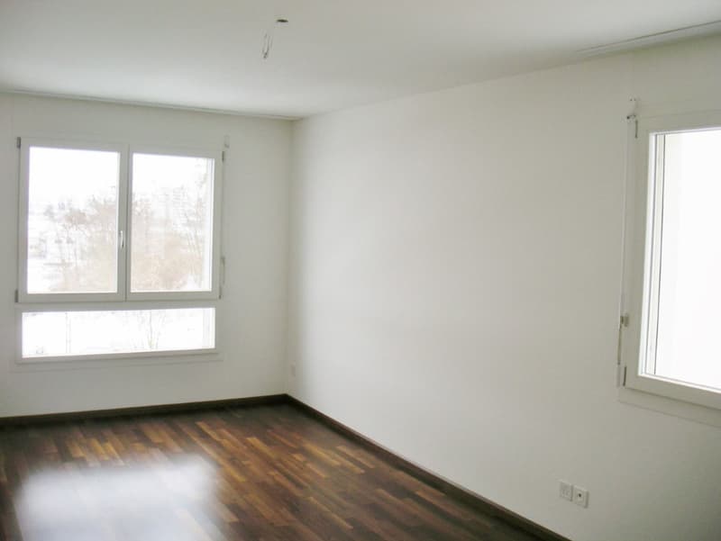 Mint-condition apartment with private laundry room (10)