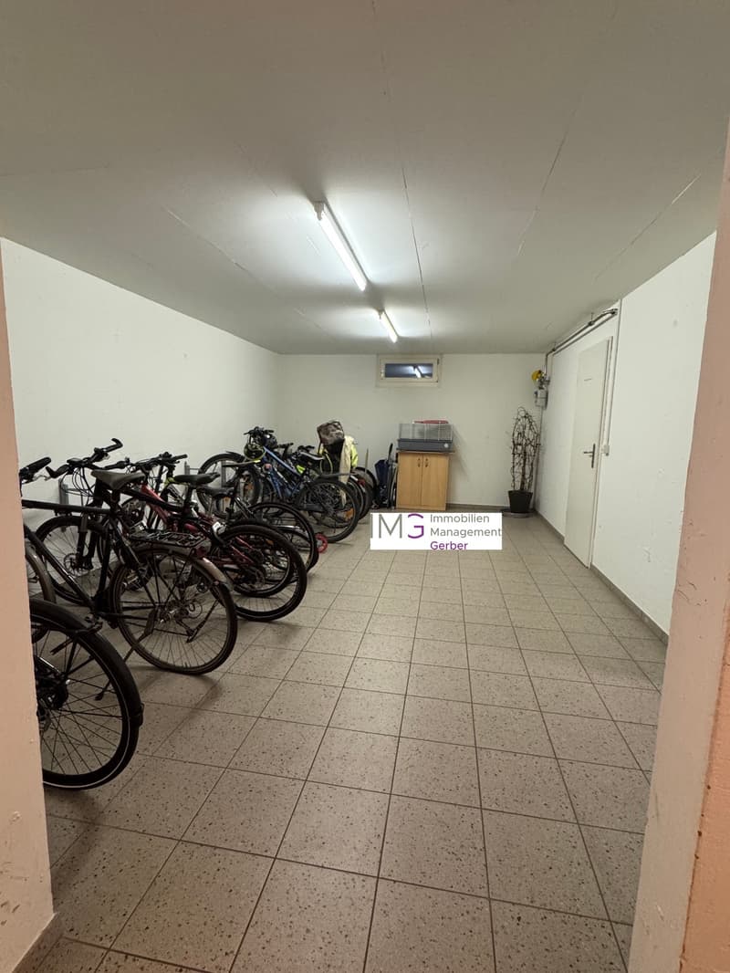 Mint-condition apartment with private laundry room (18)