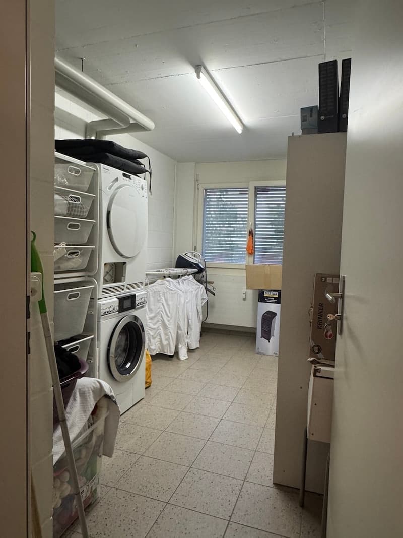 Mint-condition apartment with private laundry room (15)